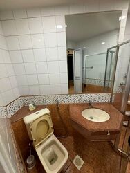 Sunshine Plaza (D7), Apartment #484273241